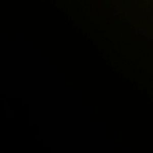 Meet your Posher, Kurtis